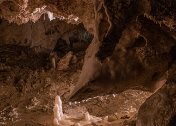 An underground oasis for microbial life at the interface of Earth’s atmosphere and terrestrial subsurface